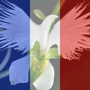 Meet your Posher, Carmen